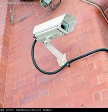 凝視之眼 磚墻上的白色守護(hù)者